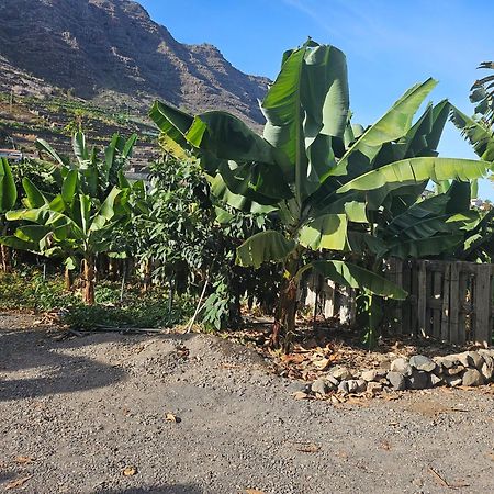 Casa Erika Βίλα Hermigua Εξωτερικό φωτογραφία