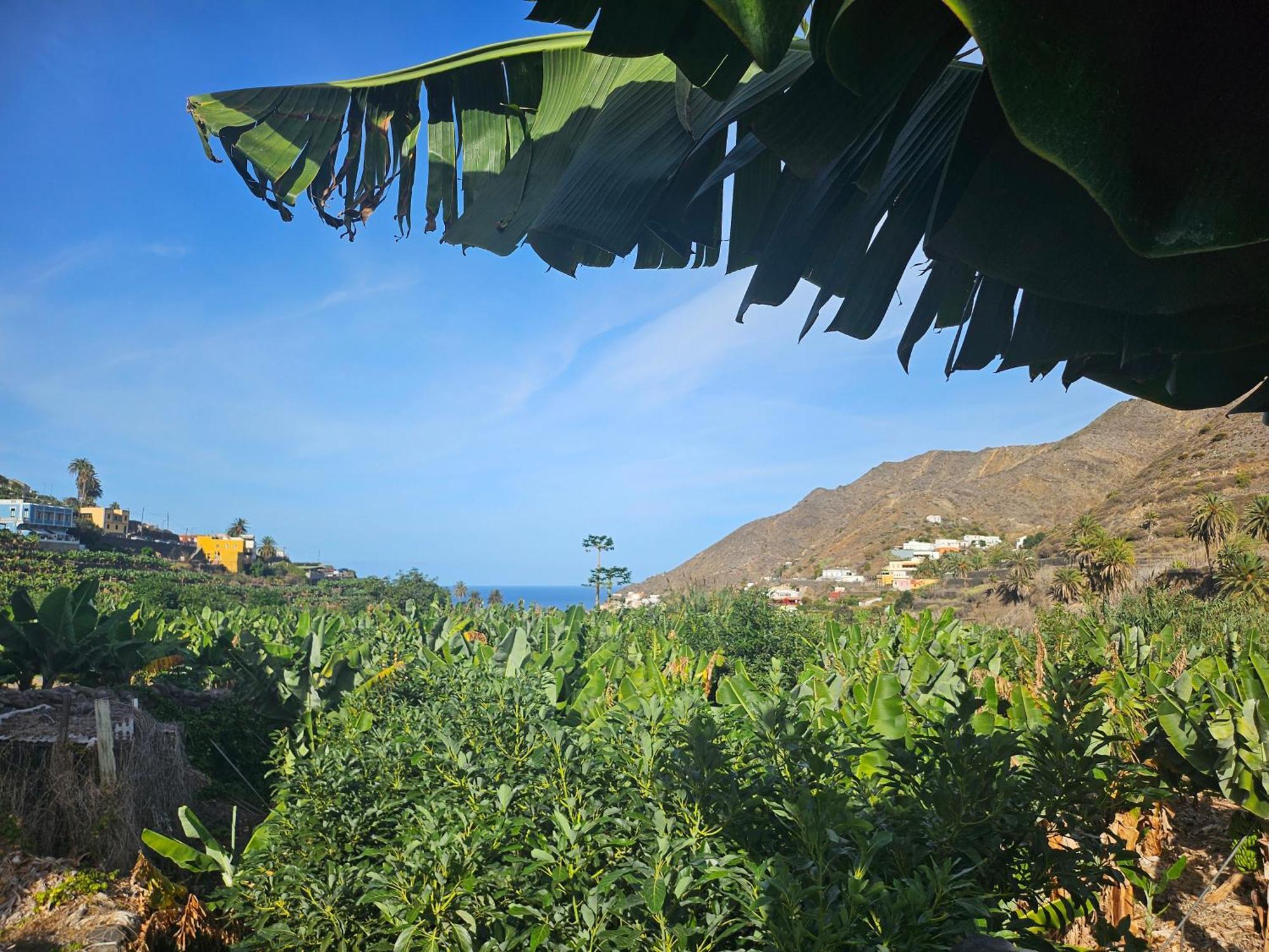 Casa Erika Βίλα Hermigua Εξωτερικό φωτογραφία