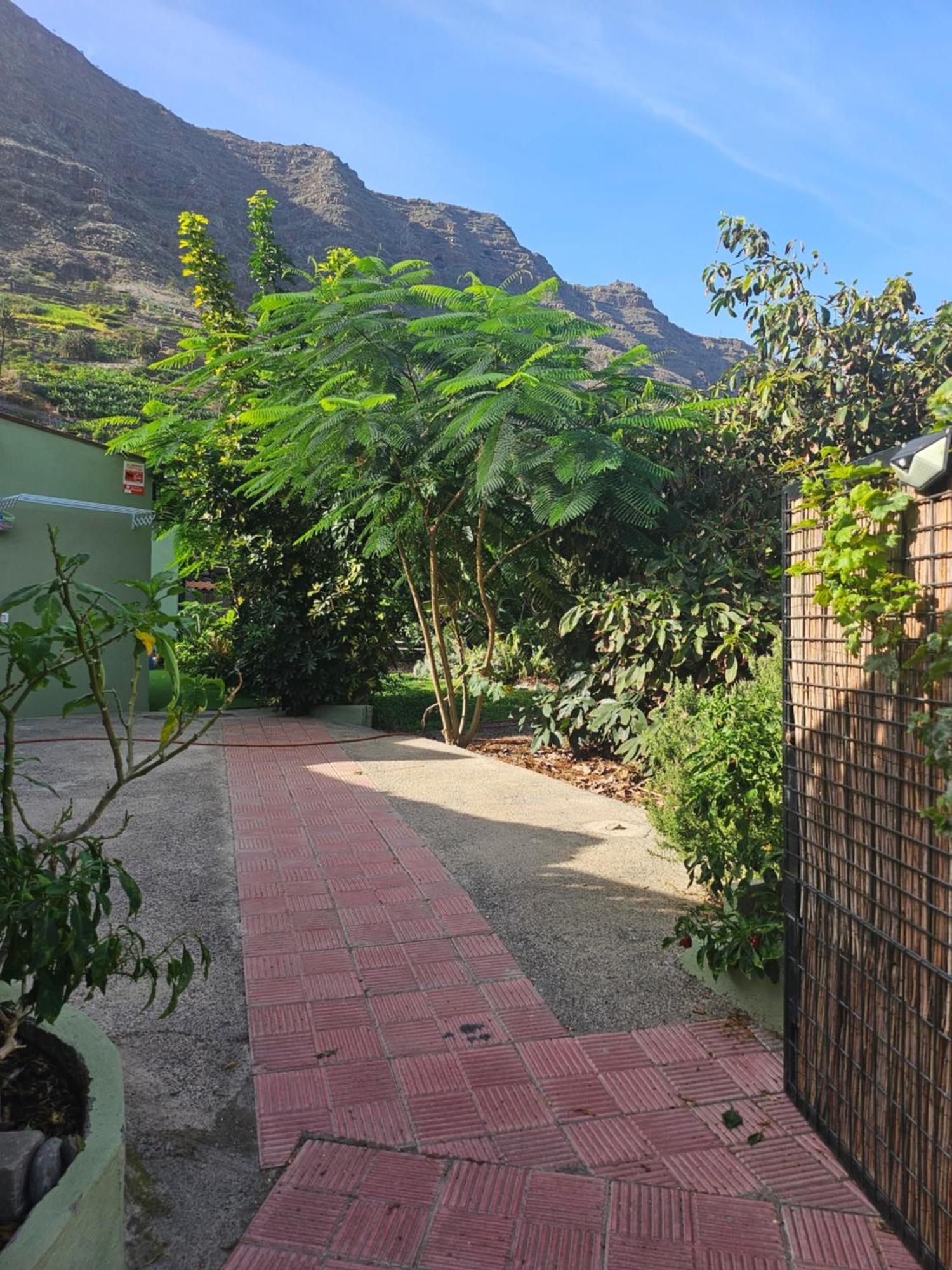 Casa Erika Βίλα Hermigua Εξωτερικό φωτογραφία